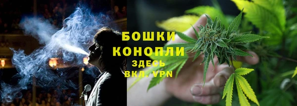 прущие грибы Баксан