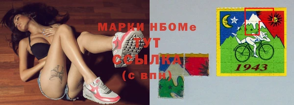 прущие грибы Баксан