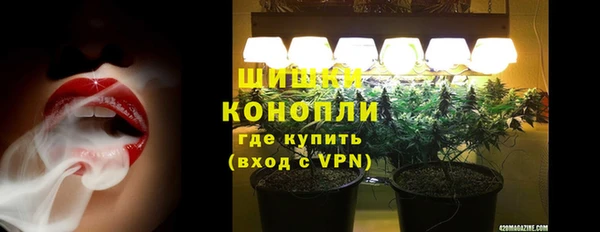 прущие грибы Баксан