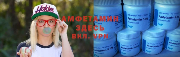 прущие грибы Баксан