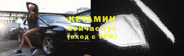 прущие грибы Баксан