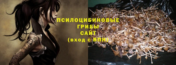 дурь Семёнов