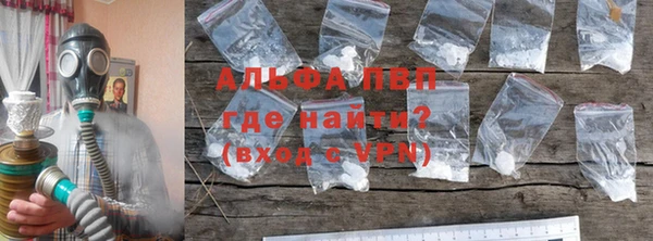 индика Балахна