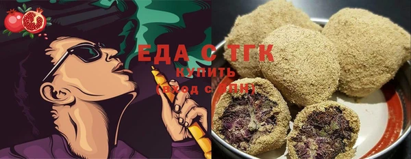 индика Балахна