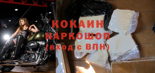 индика Балахна