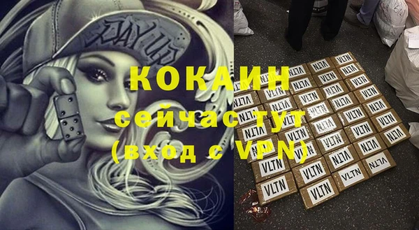 индика Балахна
