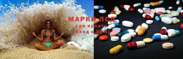 прущие грибы Баксан