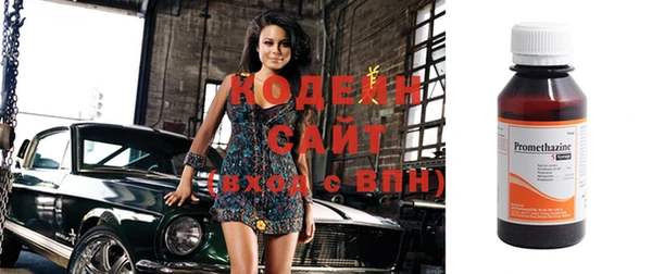 индика Балахна